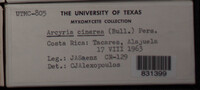 Image Associated With the Occurence